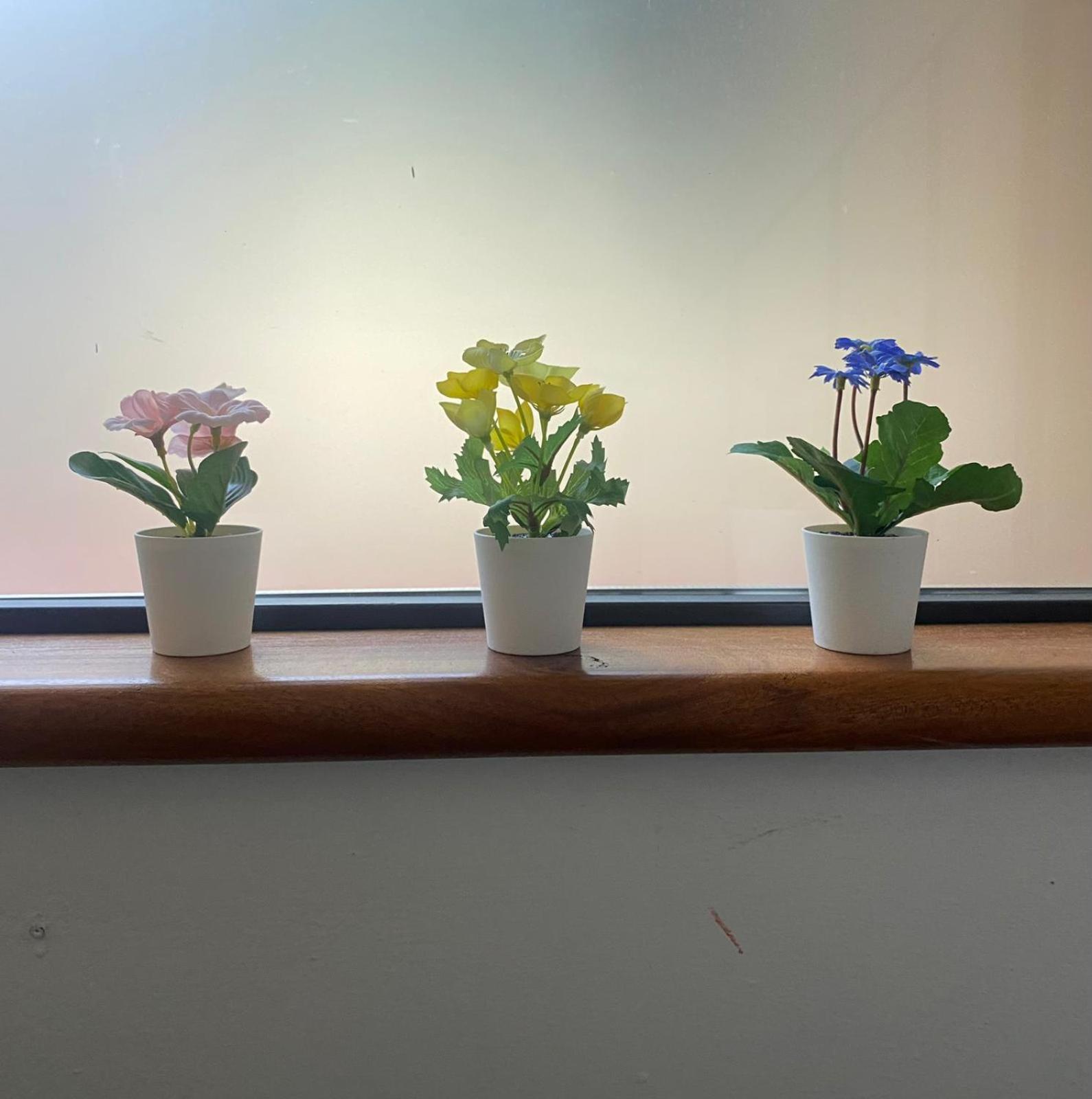 Appartamento Indipendente Con Giardino Fralu Floransa Dış mekan fotoğraf